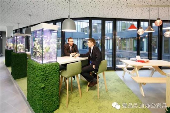為什么辦公室里一定要養植物？-壹品歐迪辦公家具