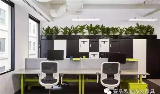 為什么辦公室里一定要養植物？-壹品歐迪辦公家具