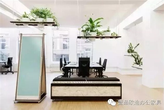 為什么辦公室里一定要養植物？-壹品歐迪辦公家具