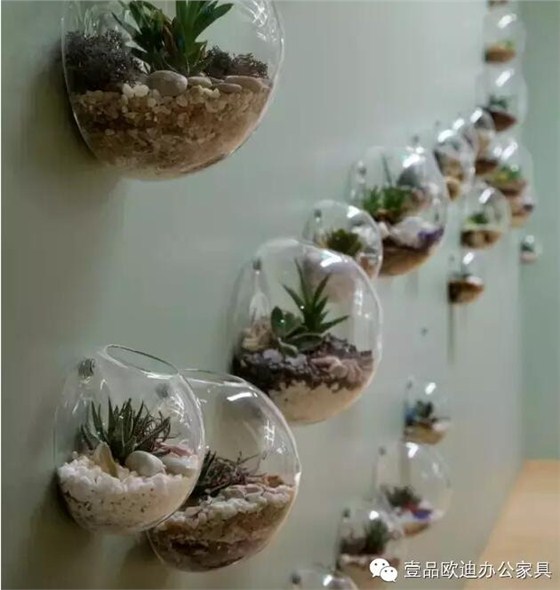 為什么辦公室里一定要養植物？-壹品歐迪辦公家具