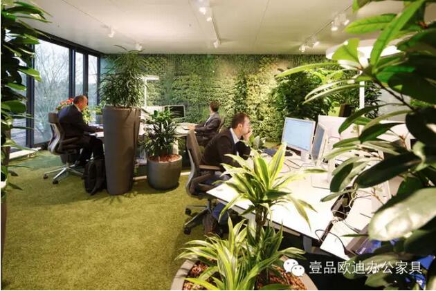 為什么辦公室里一定要養植物？-壹品歐迪辦公家具