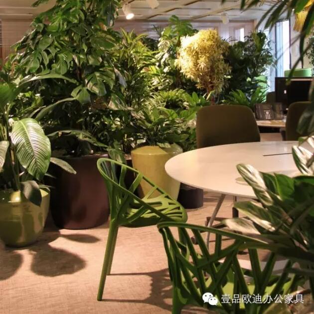為什么辦公室里一定要養植物？-壹品歐迪辦公家具