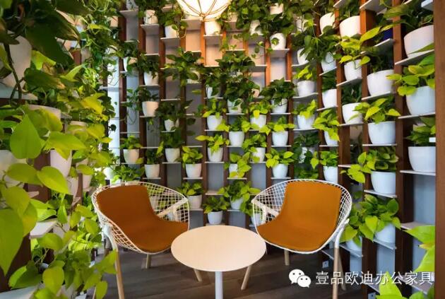 為什么辦公室里一定要養植物？-壹品歐迪辦公家具