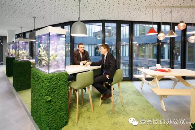 為什么辦公室里一定要養植物？-壹品歐迪辦公家具