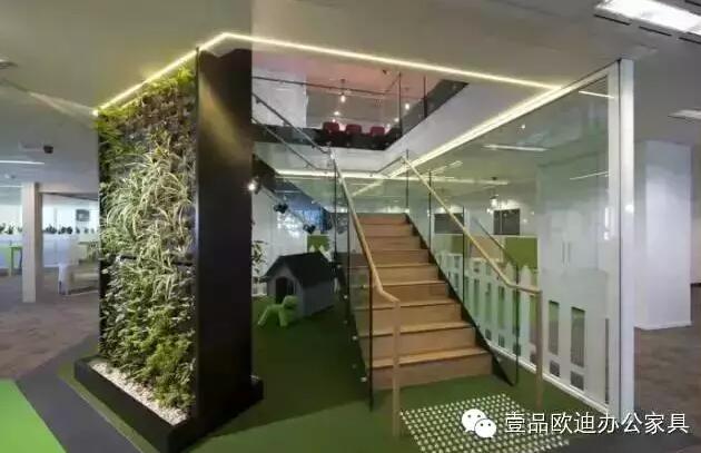 為什么辦公室里一定要養植物？-壹品歐迪辦公家具