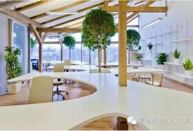 為什么辦公室里一定要養植物？-壹品歐迪辦公家具