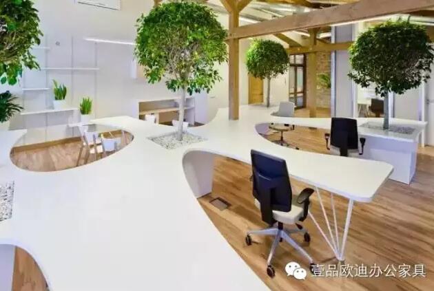 為什么辦公室里一定要養植物？-壹品歐迪辦公家具