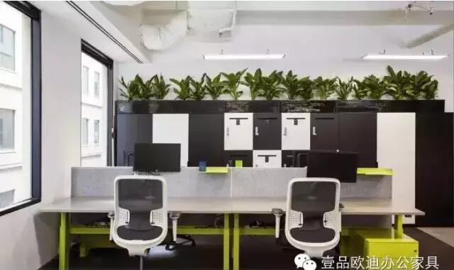 為什么辦公室里一定要養植物？-壹品歐迪辦公家具