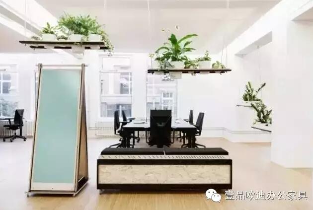 為什么辦公室里一定要養植物？-壹品歐迪辦公家具